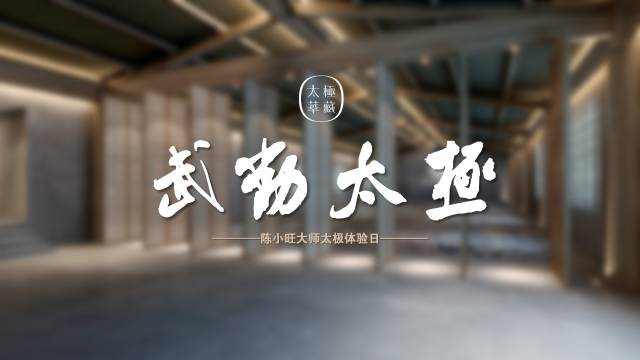 太极华藏 武动太极