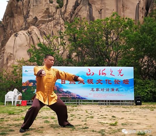 陈式太极名家马贵鹏