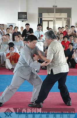太极名家现场表演