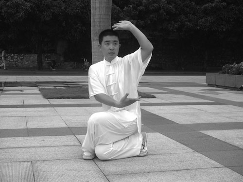 2杨氏小架玉女穿梭之偷桃式—