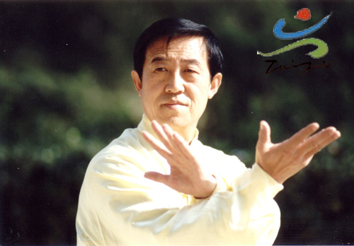 陈式太极拳