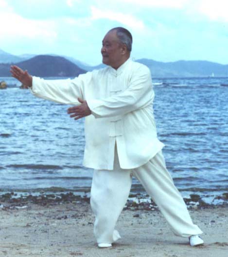 杨振铎在海边练拳