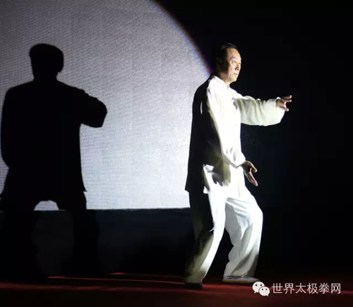 太极名家王西安演示太极功夫2