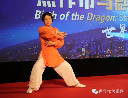 太极名家闫素杰演示太极功夫