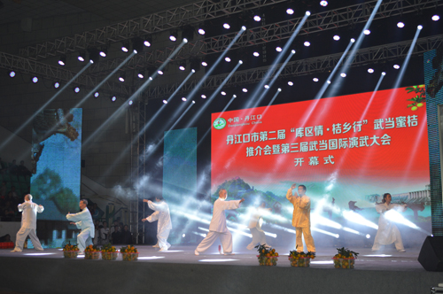 开幕式上的名家表演