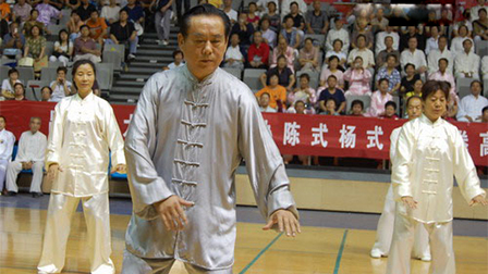 太极名家赵幼斌在新疆太极拳观摩交流大会上表演