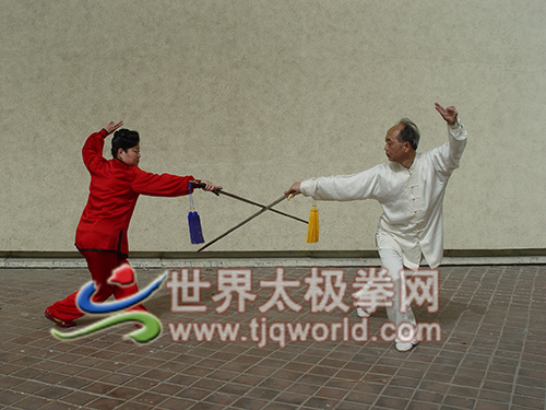 陈龙骧、李敏娣夫妇太极对剑