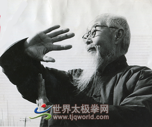 吴图南太极拳势