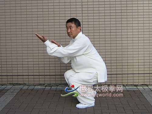 李琏太极拳势