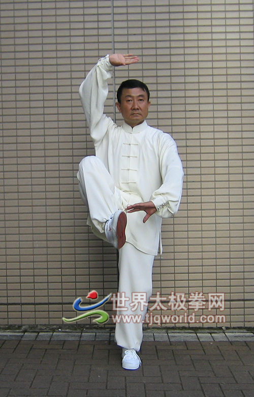 李琏先生拳照