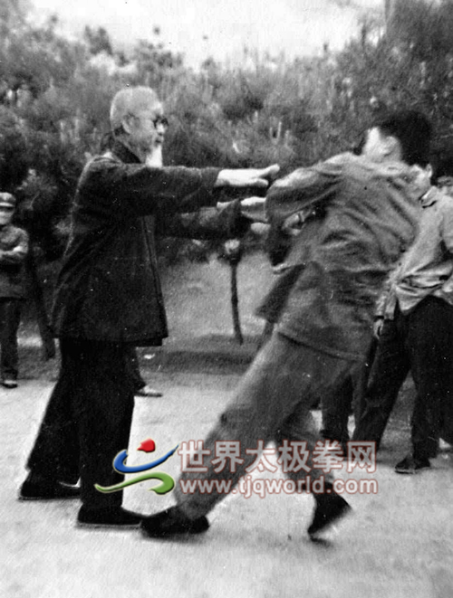 1972年紫竹院公园吴图南李琏推手