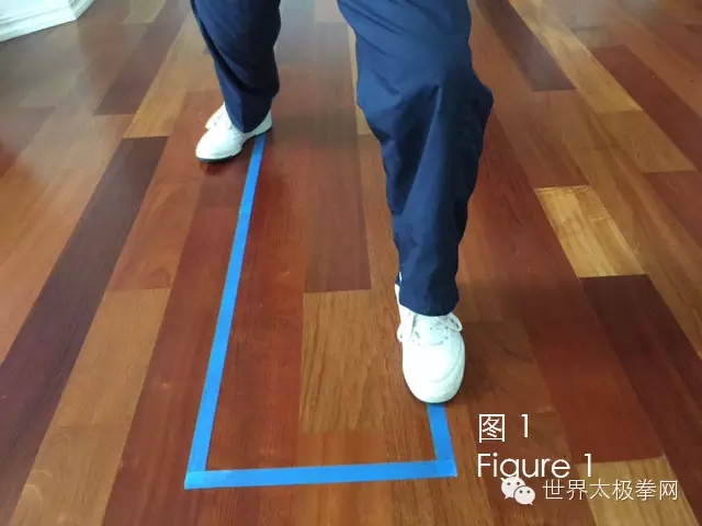 图1