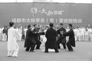 太极名师