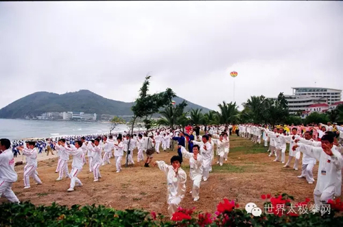 (首届世界太极健康大会)