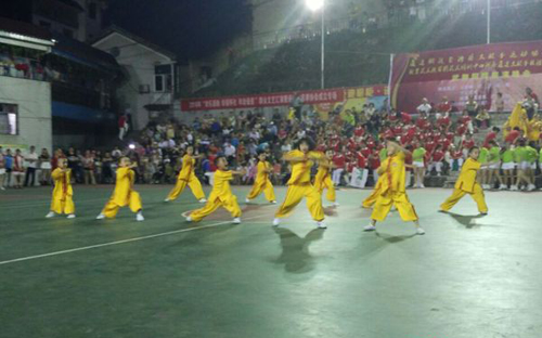 《少儿武术》