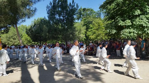 太极表演(西班牙《欧华报》)