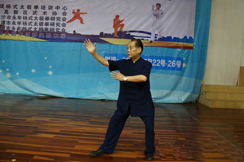 杨式太极拳第五代嫡传人赵幼斌现场授课