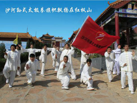 ɳ������ʽ̫��ȭ�о���