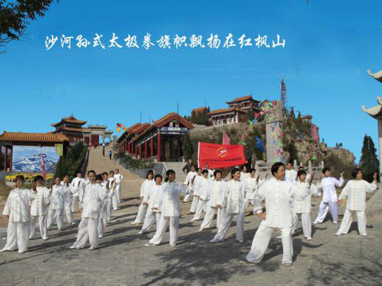 ɳ������ʽ̫��ȭ�о���