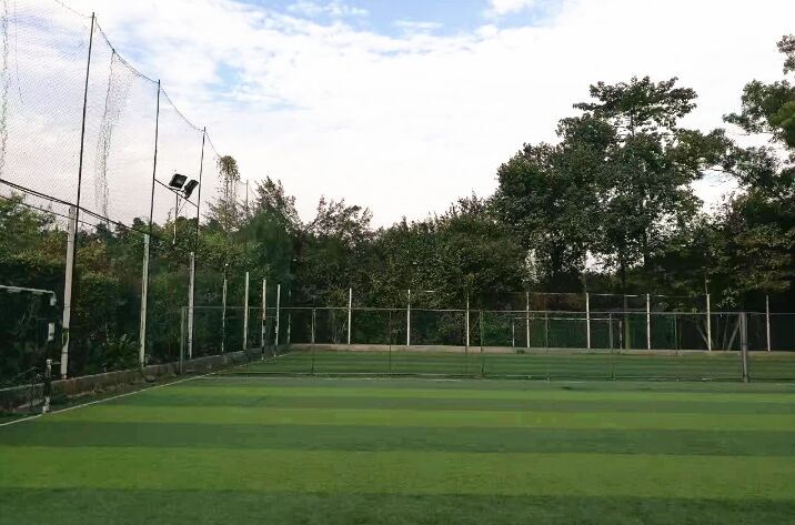 ����ǿ̫��Ժ�����ⳡ��