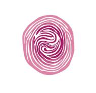 2013�ꡪ��2016��