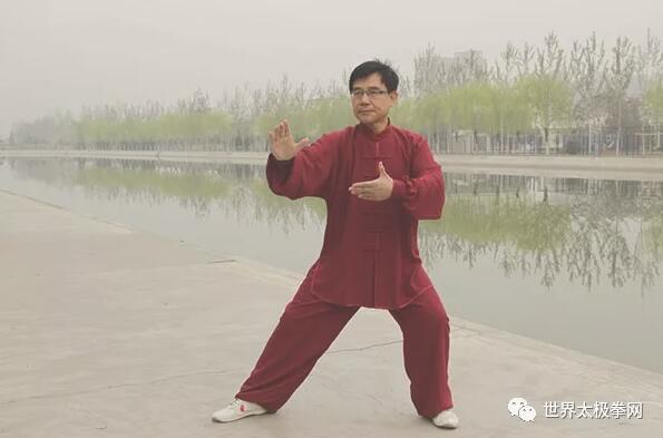 我的恩师张世昌先生拳照