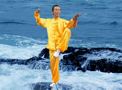 �����ȭʽ֮һ