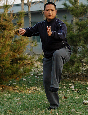 ������ȭʽ