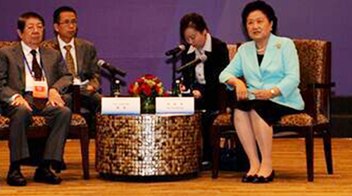 5月31日,在印尼巴厘岛,中国国务院副总理刘延东(右一)在开幕式前会见柬埔寨副首相索安(左一)