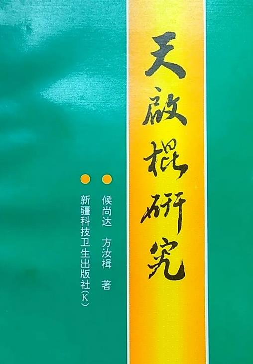 天启棍研究