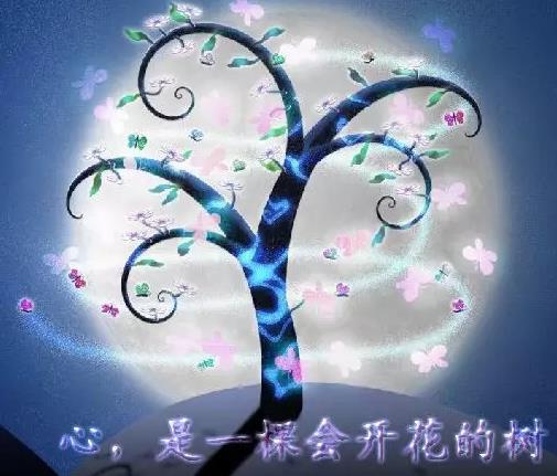 心树花开